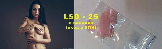соль курить ск Елизово