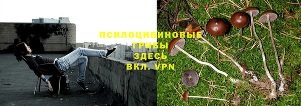 прущая мука Елабуга